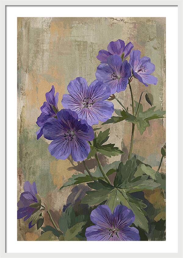 Meadow Cranesbill Geranium Blooms