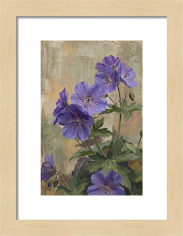 Meadow Cranesbill Geranium Blooms