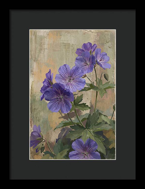 Meadow Cranesbill Geranium Blooms