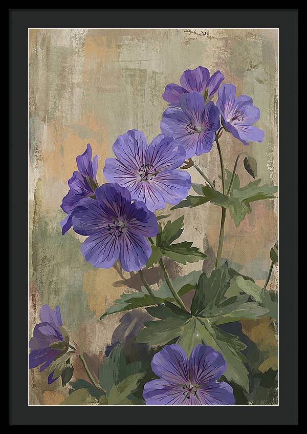 Meadow Cranesbill Geranium Blooms