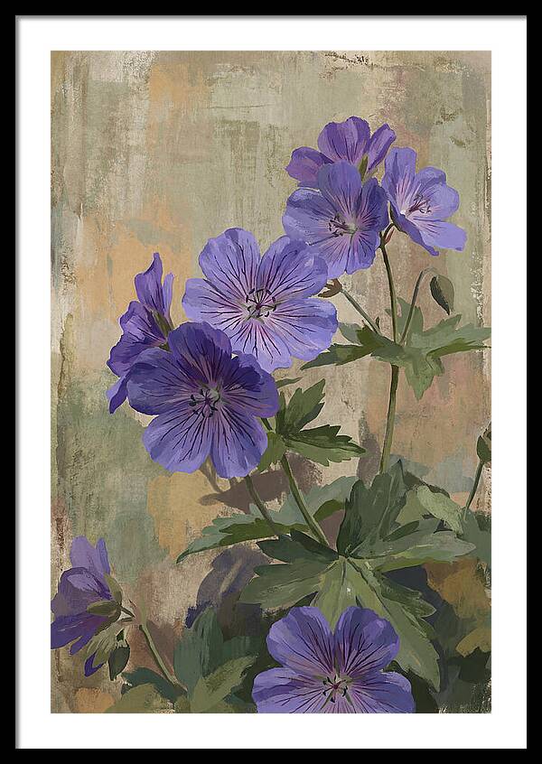 Meadow Cranesbill Geranium Blooms