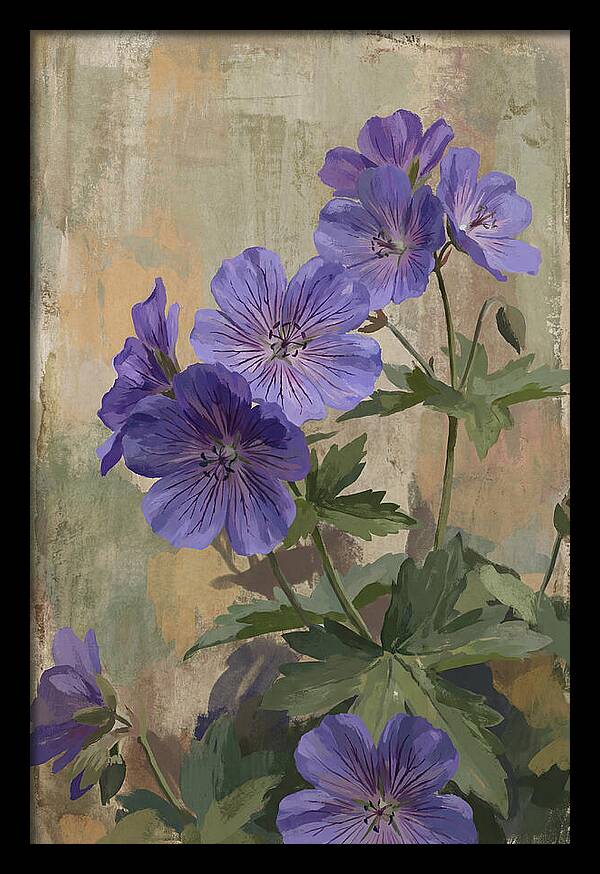 Meadow Cranesbill Geranium Blooms