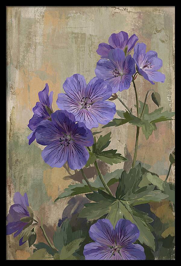 Meadow Cranesbill Geranium Blooms