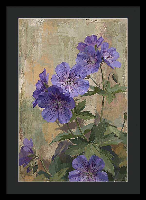 Meadow Cranesbill Geranium Blooms
