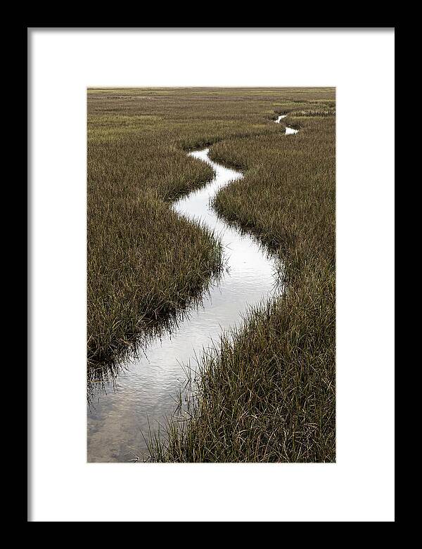 Meandering Stream Through Wetlands