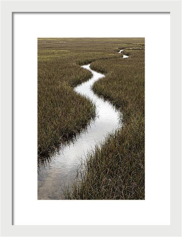 Meandering Stream Through Wetlands