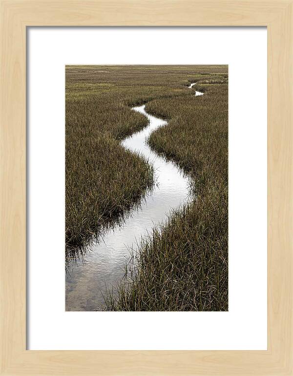 Meandering Stream Through Wetlands