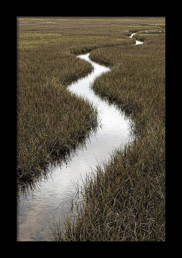 Meandering Stream Through Wetlands