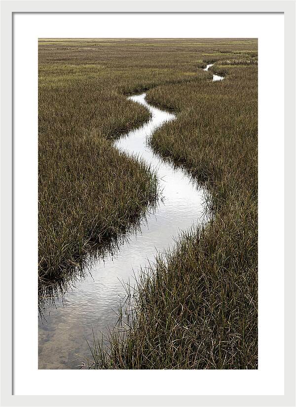 Meandering Stream Through Wetlands