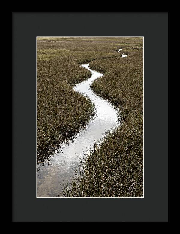 Meandering Stream Through Wetlands