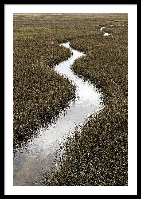 Meandering Stream Through Wetlands
