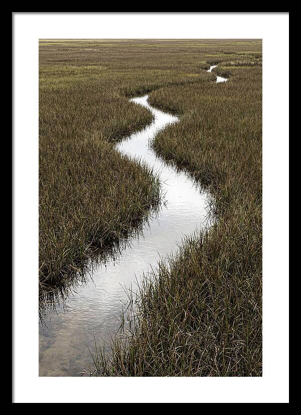 Meandering Stream Through Wetlands