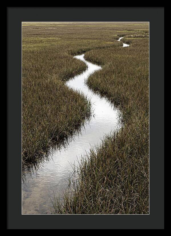 Meandering Stream Through Wetlands