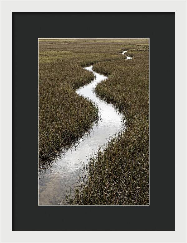 Meandering Stream Through Wetlands