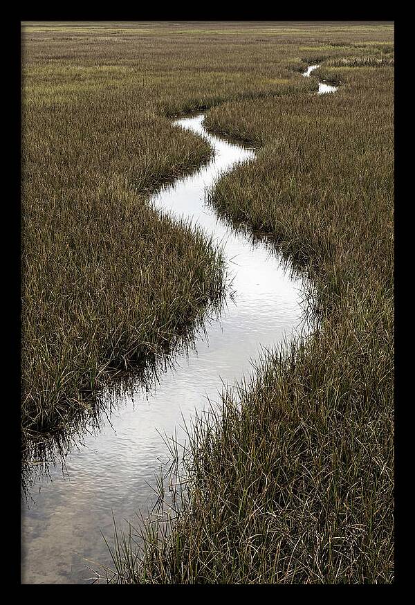Meandering Stream Through Wetlands