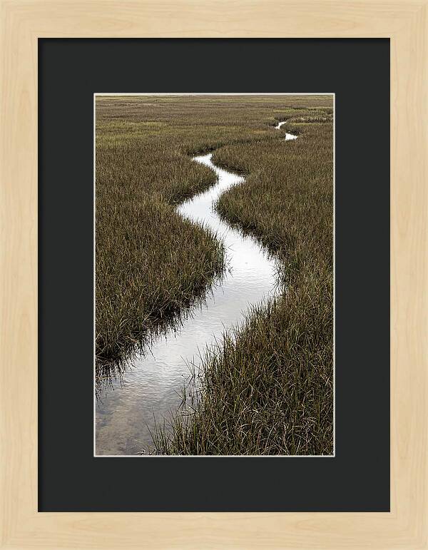 Meandering Stream Through Wetlands