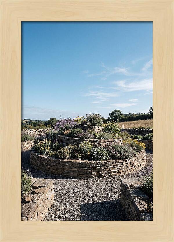 Medicinal Herb Spiral Garden