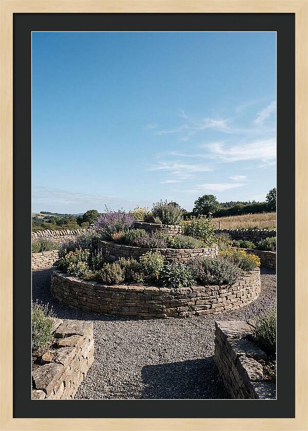 Medicinal Herb Spiral Garden