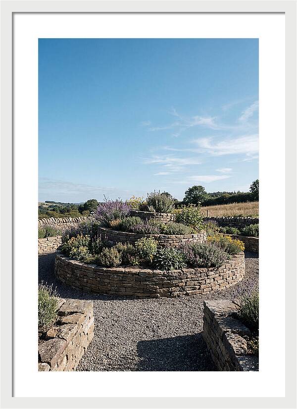 Medicinal Herb Spiral Garden