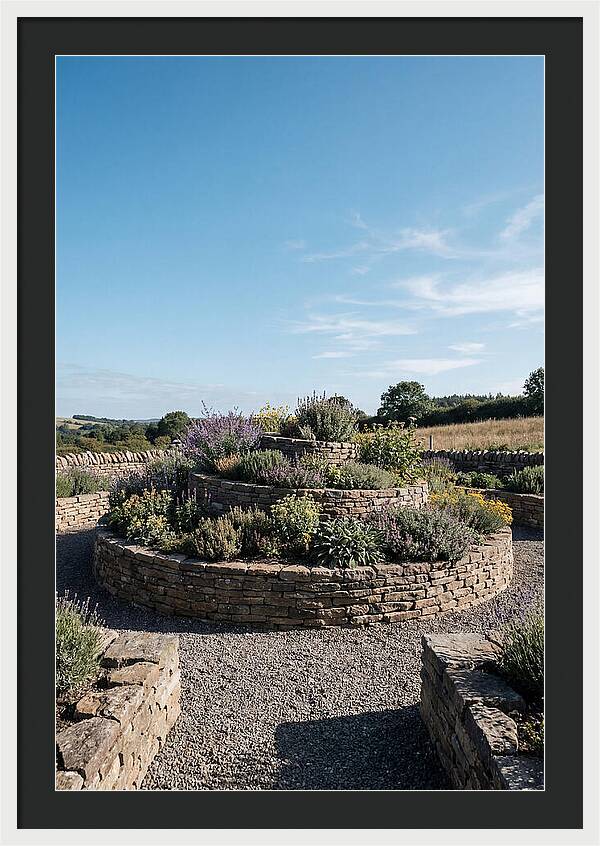 Medicinal Herb Spiral Garden