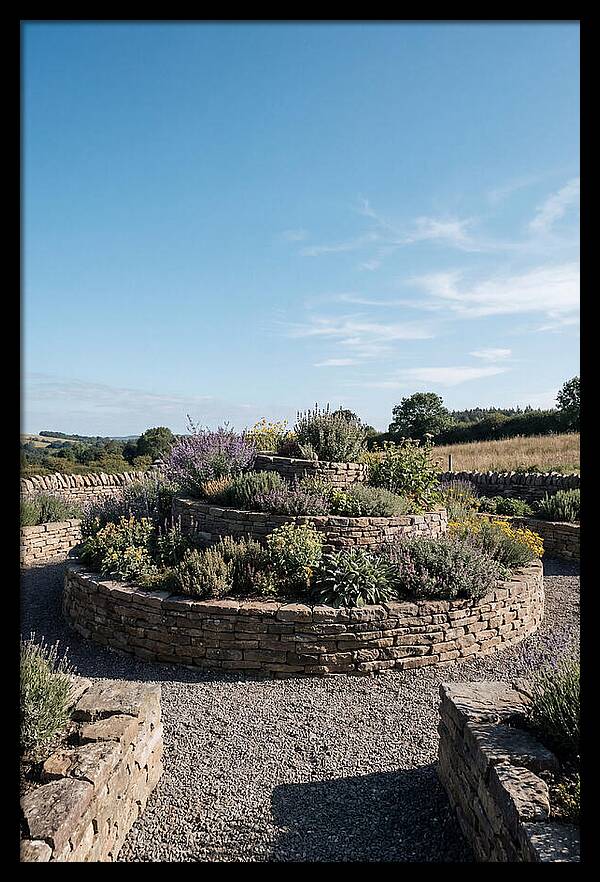 Medicinal Herb Spiral Garden