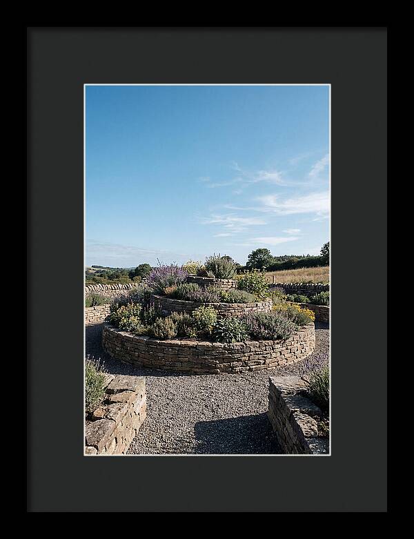 Medicinal Herb Spiral Garden