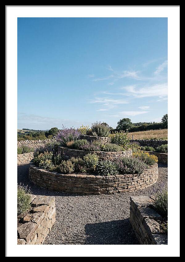 Medicinal Herb Spiral Garden