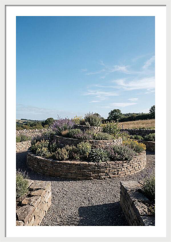 Medicinal Herb Spiral Garden