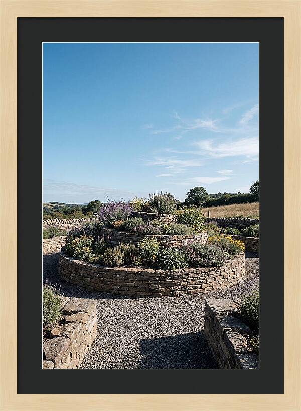 Medicinal Herb Spiral Garden