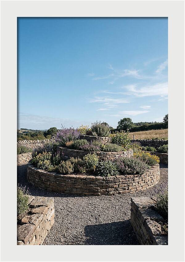 Medicinal Herb Spiral Garden