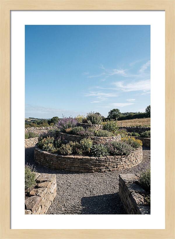 Medicinal Herb Spiral Garden