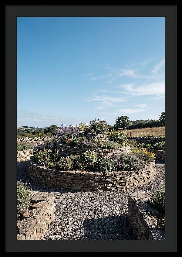 Medicinal Herb Spiral Garden