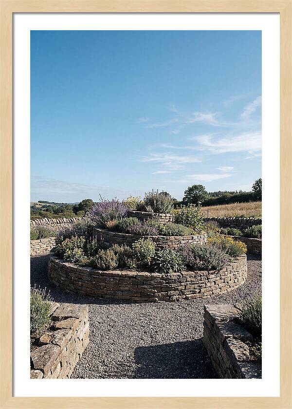 Medicinal Herb Spiral Garden