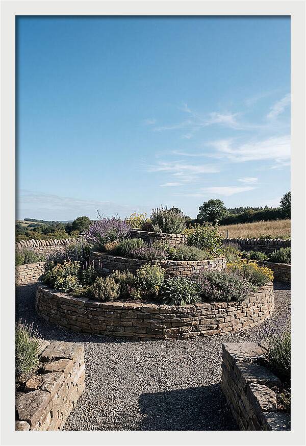 Medicinal Herb Spiral Garden