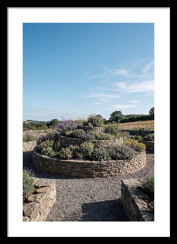 Medicinal Herb Spiral Garden