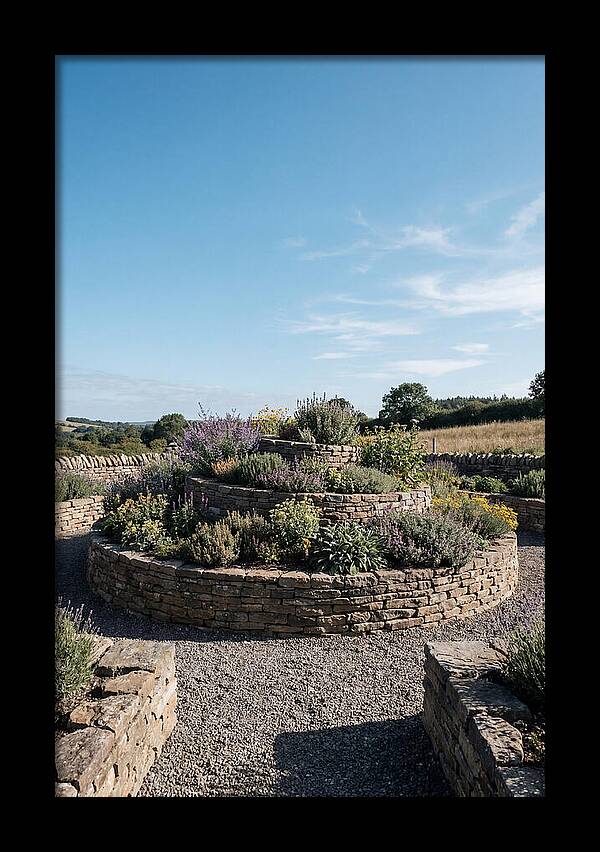 Medicinal Herb Spiral Garden