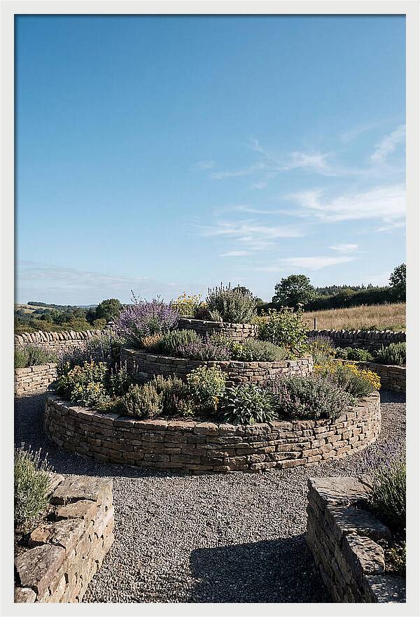 Medicinal Herb Spiral Garden