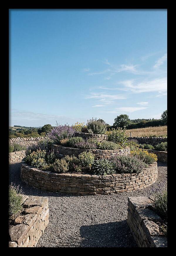 Medicinal Herb Spiral Garden