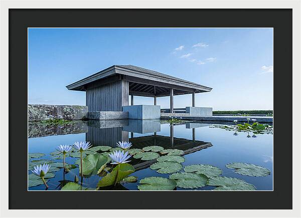 Meditation Pavilion Over Still Lotus Pond