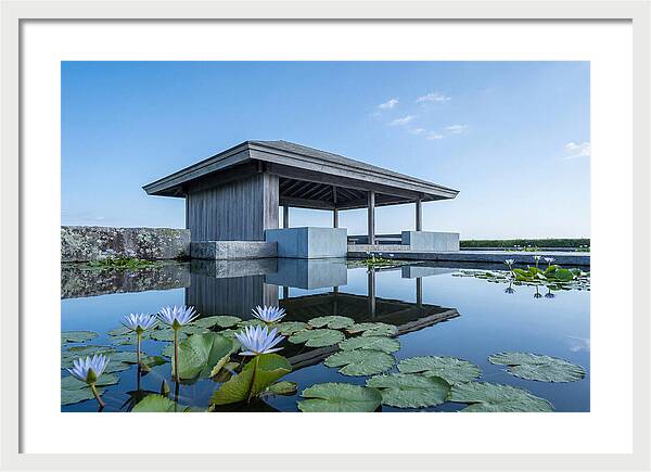 Meditation Pavilion Over Still Lotus Pond