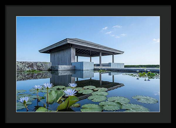 Meditation Pavilion Over Still Lotus Pond