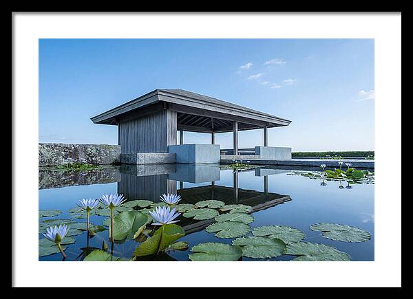 Meditation Pavilion Over Still Lotus Pond
