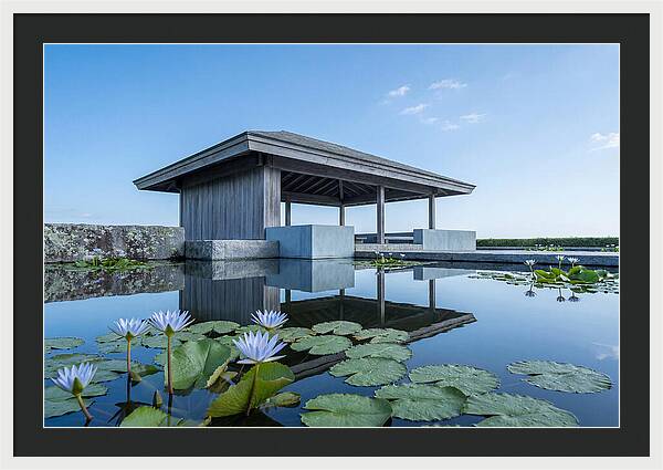 Meditation Pavilion Over Still Lotus Pond