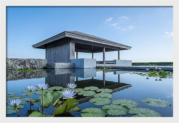 Meditation Pavilion Over Still Lotus Pond