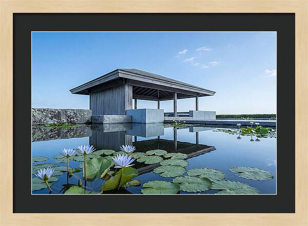 Meditation Pavilion Over Still Lotus Pond