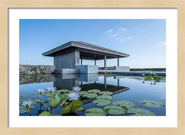 Meditation Pavilion Over Still Lotus Pond