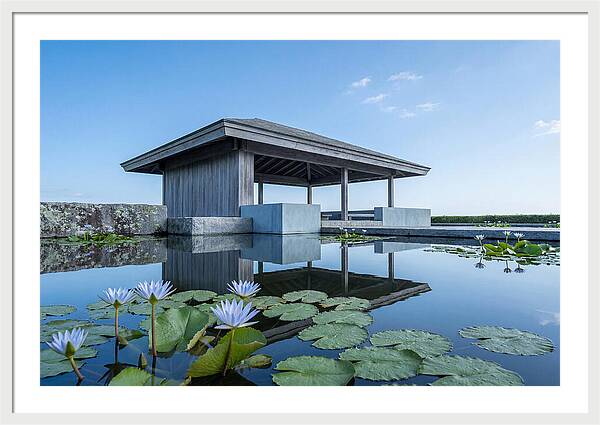 Meditation Pavilion Over Still Lotus Pond