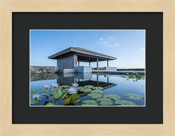 Meditation Pavilion Over Still Lotus Pond