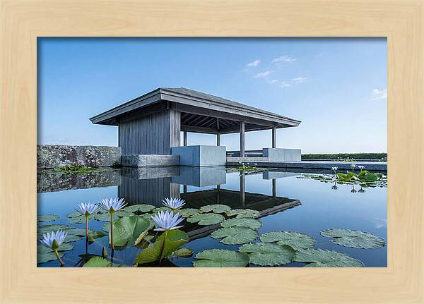 Meditation Pavilion Over Still Lotus Pond