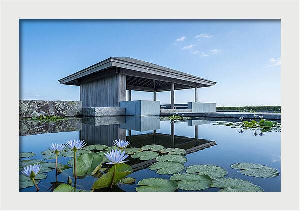 Meditation Pavilion Over Still Lotus Pond